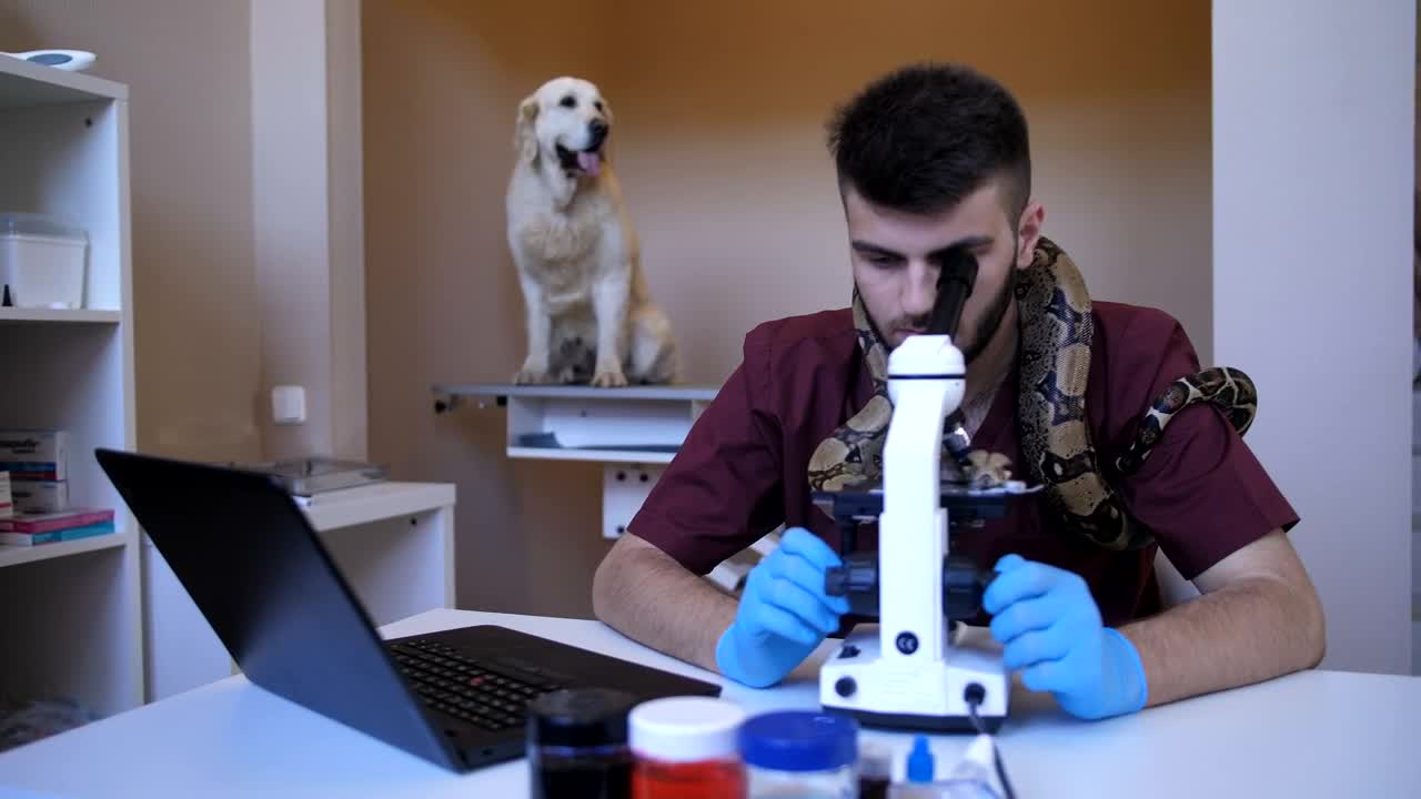 Stock Footage Vet Using A Microscope In His Clinic Live Wallpaper - Free Download