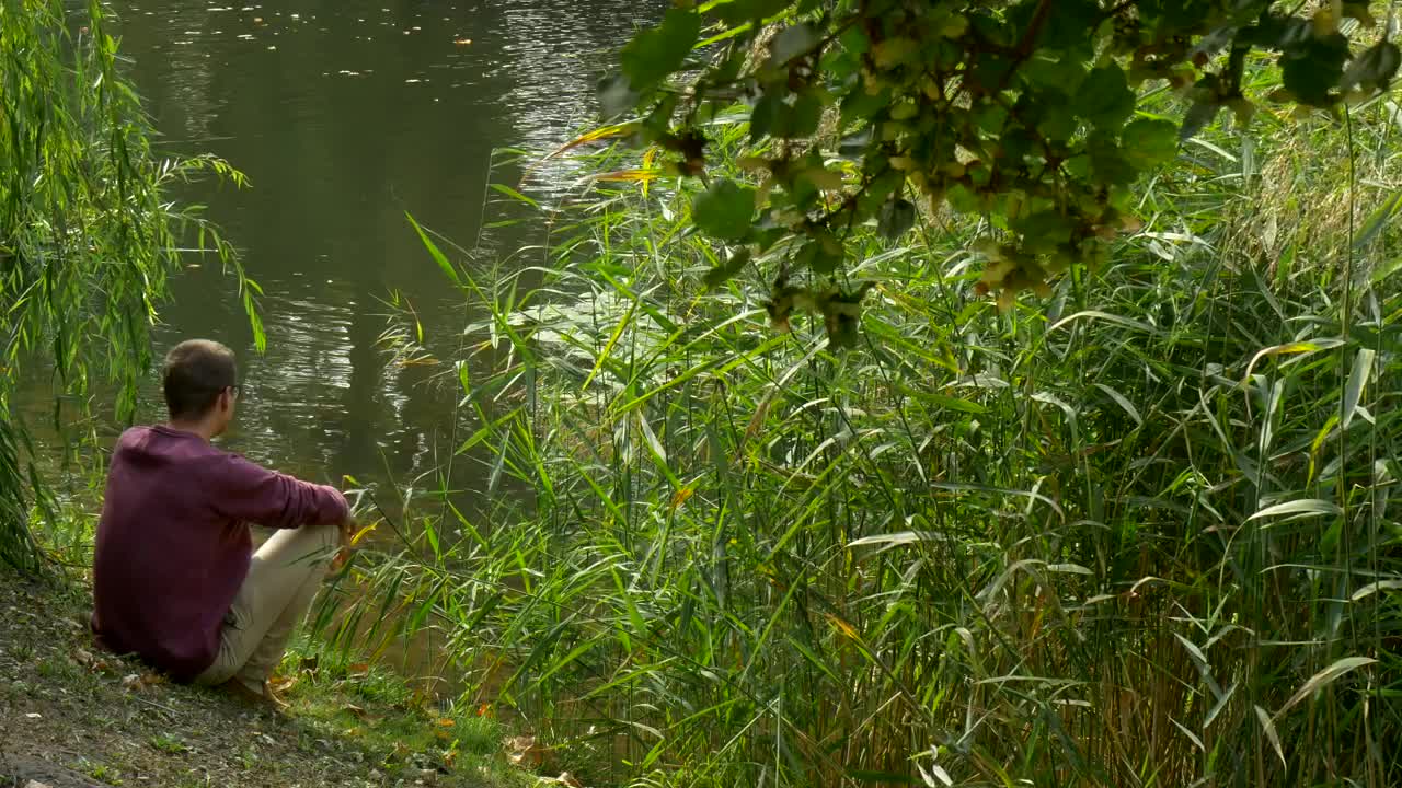 Stock Video Meditative Man Sitting On The Shore Of A Lak Animated Wallpaper - Free Download