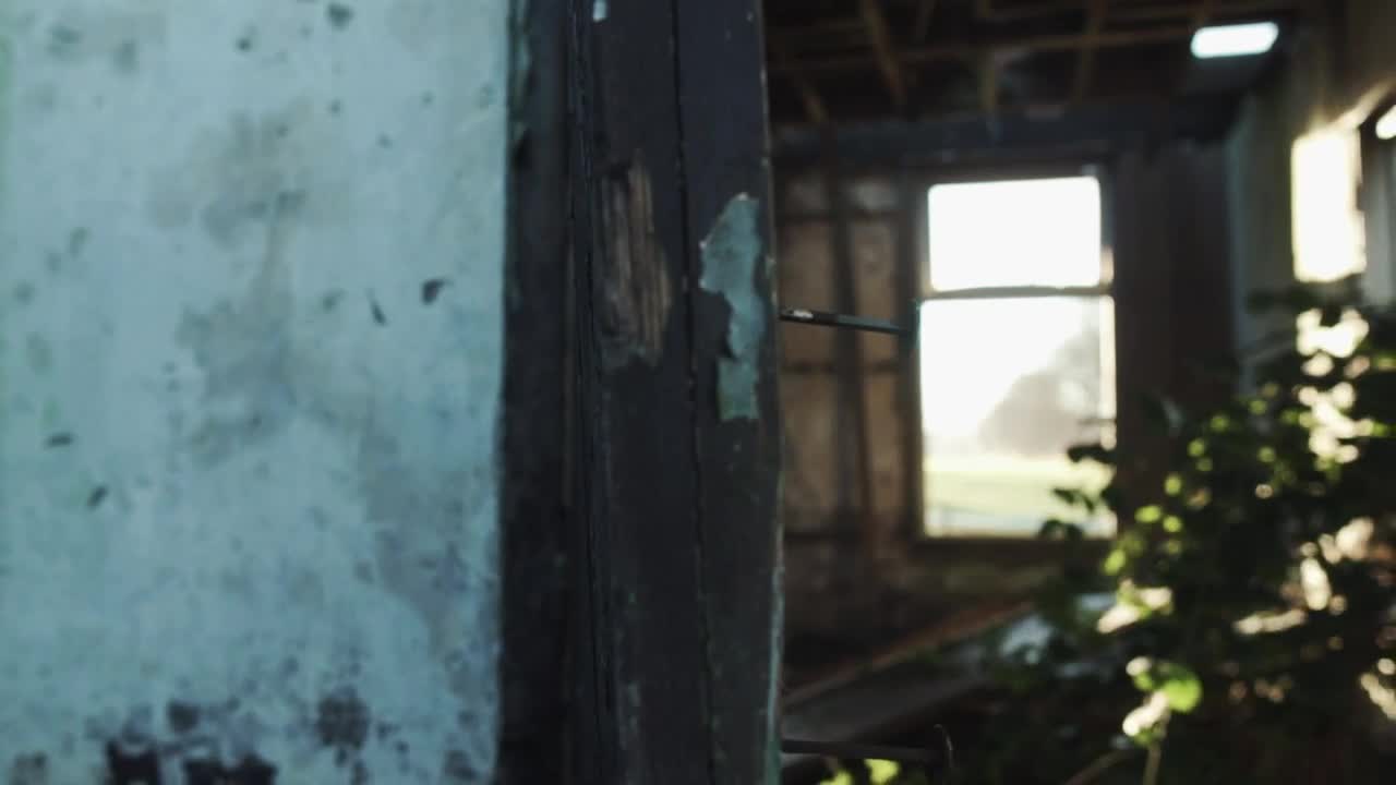 Free Stock Video Ruined Site Near A Path In A Forest Live Wallpaper - Free Download