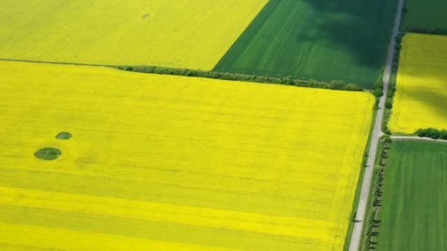 Stock Video Mixkit Flying Above Large Rapeseed Fields Smal Live Wallpaper For PC - Free Download