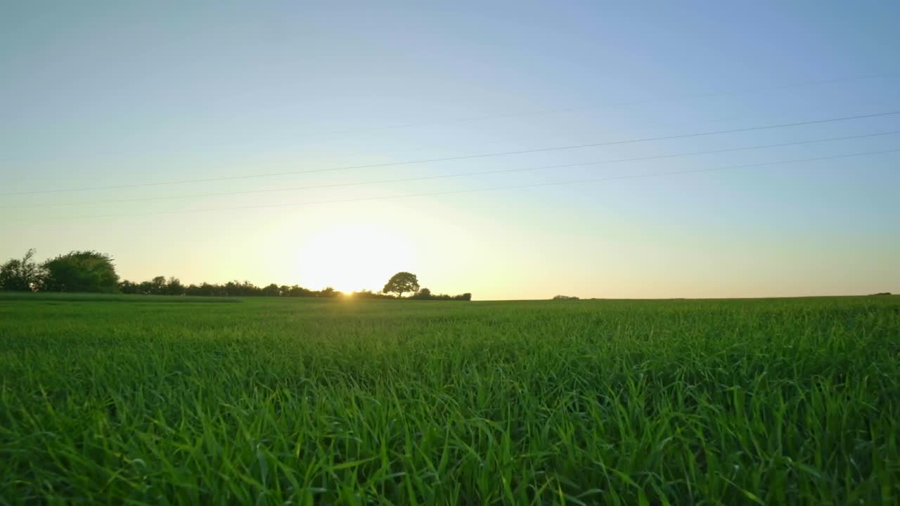 Free Video Stock Sunlight In The Countryside Live Wallpaper - Free Download