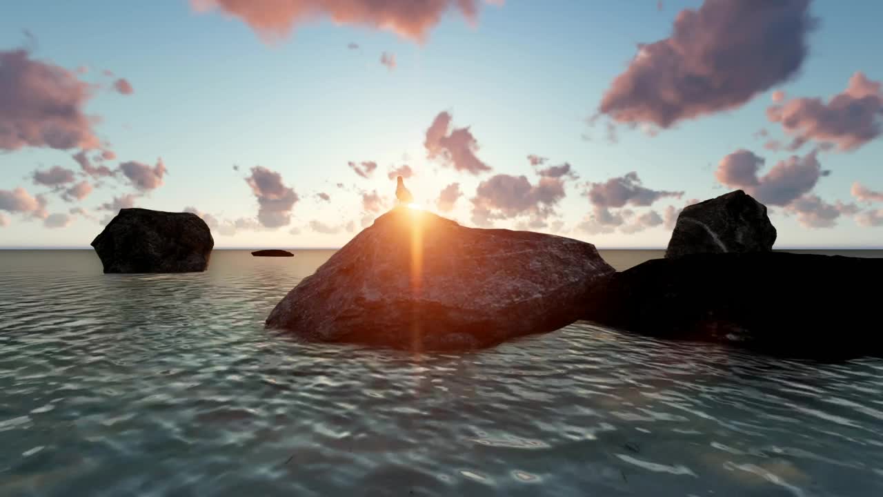 Free Stock Video Seagull Perched On A Rock On A Beach D At Live Wallpaper - Free Download