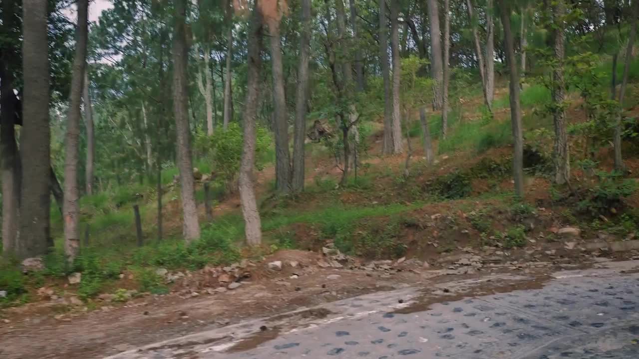 Stock Video Driving Down A Road In A Forest In A Pickup Live Wallpaper For PC - Free Download