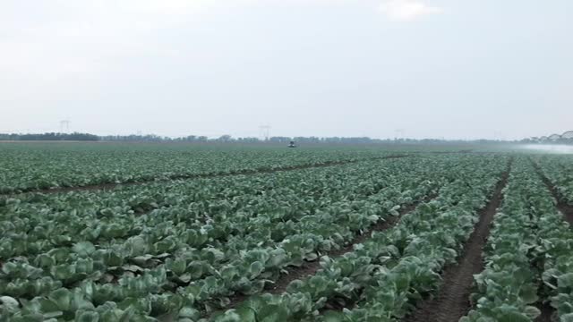 Stock Footage Watering Large Crop Fields Smalllive Wallpaper - Free Download