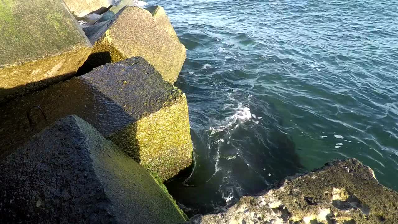Stock Footage Waves Crashing At The Breakwater Live Wallpaper - Free Download