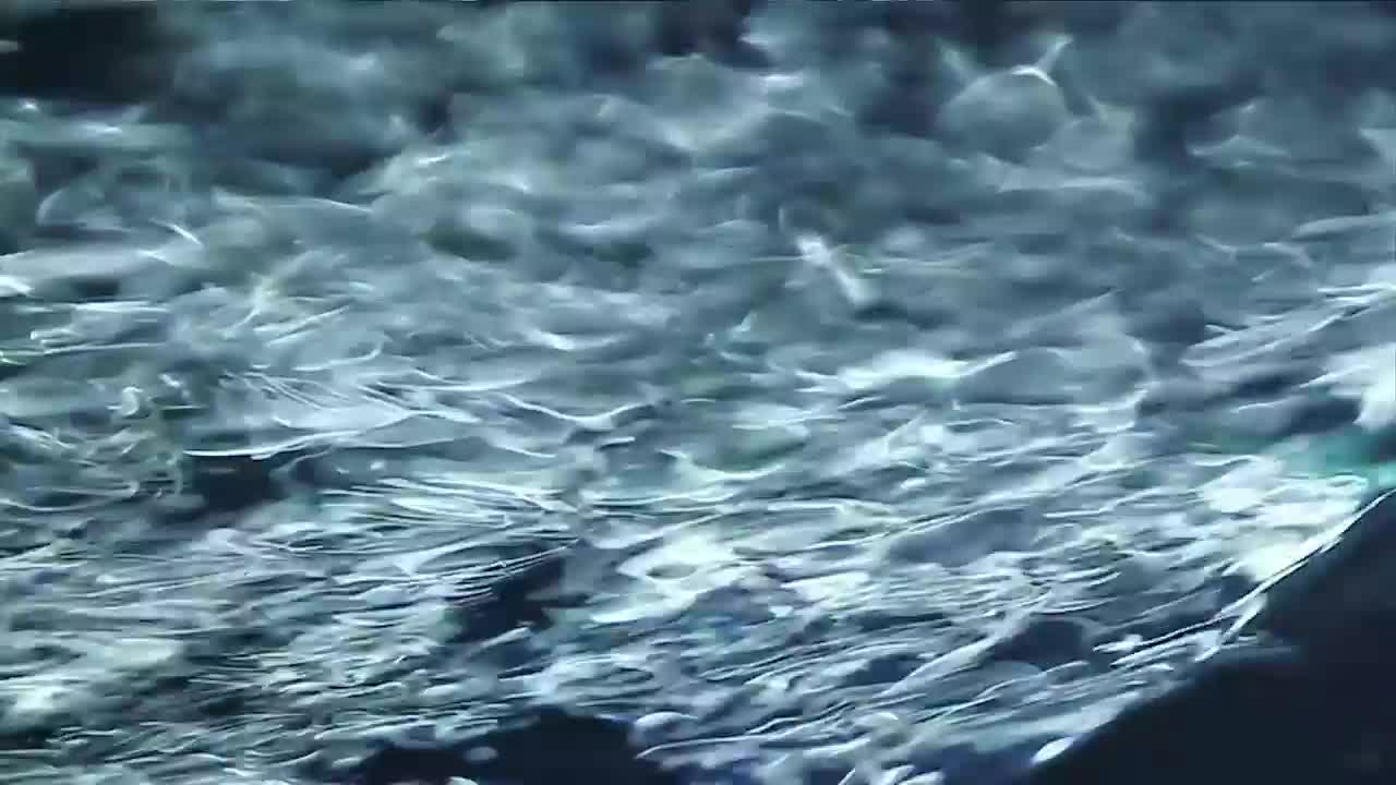 Stock Video Fast Moving Liquid From Below Live Wallpaper For PC - Free Download