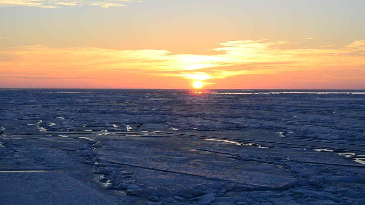 Free Video Stock Sun Setting On The Horizon Live Wallpaper - Free Download