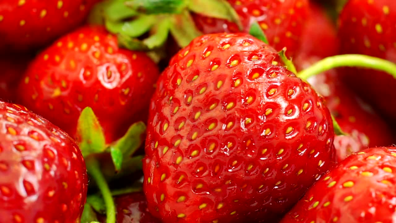 Stock Footage Washing Strawberries Close Up Live Wallpaper - Free Download