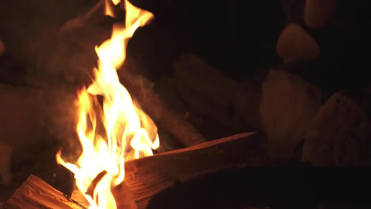 Video Stock Campfire Burning Wood Logs In The Dark Live Wallpaper For PC - Free Download
