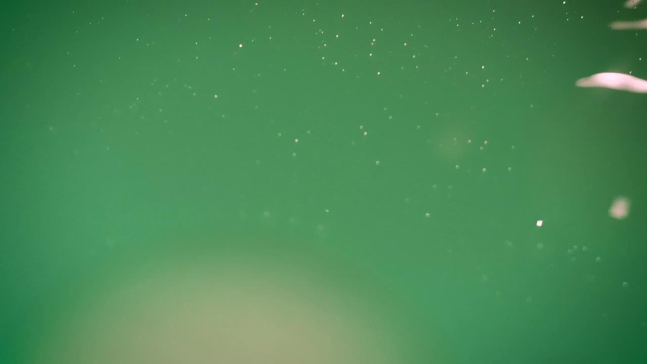 Stock Video Green Substance With Shiny Bubbles Close Up View Live Wallpaper For PC - Free Download