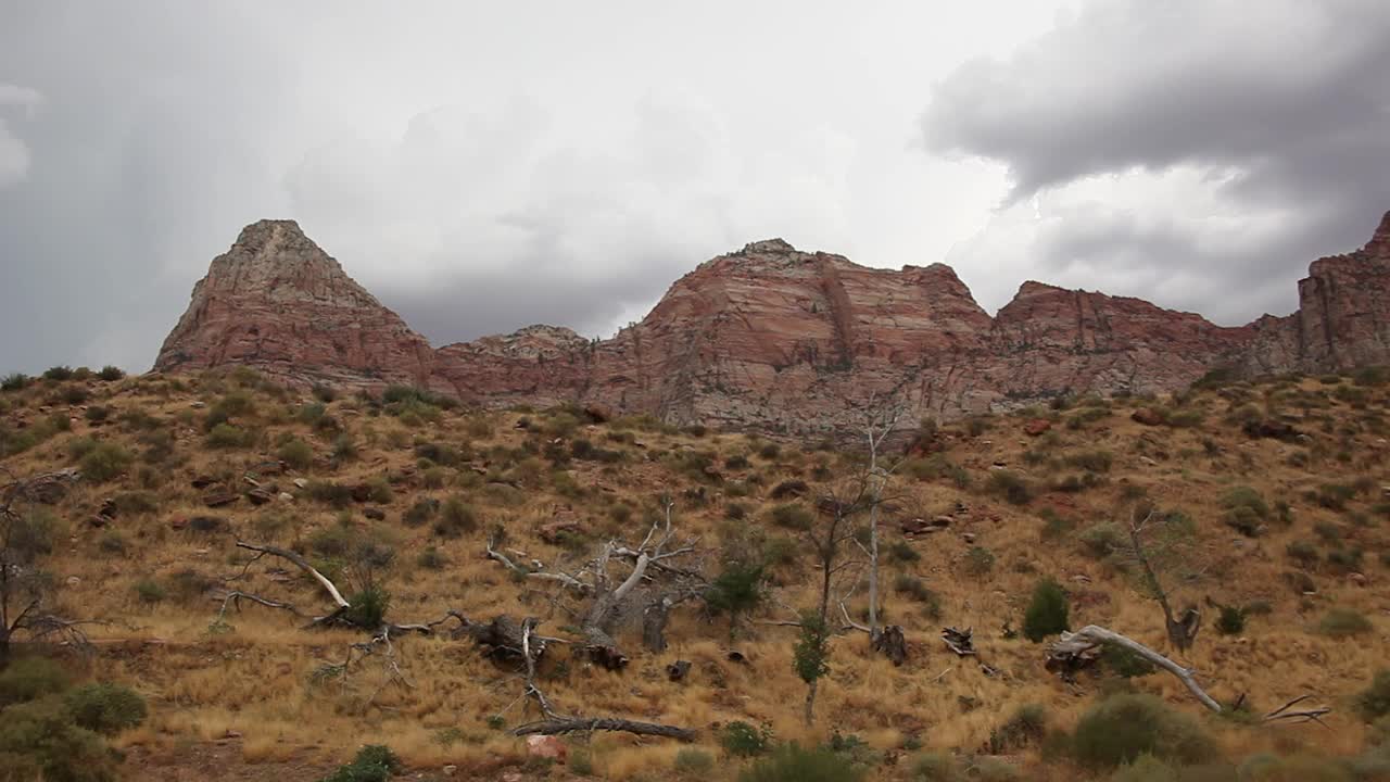 Stock Video Overcast Day In A National Park Live Wallpaper - Free Download