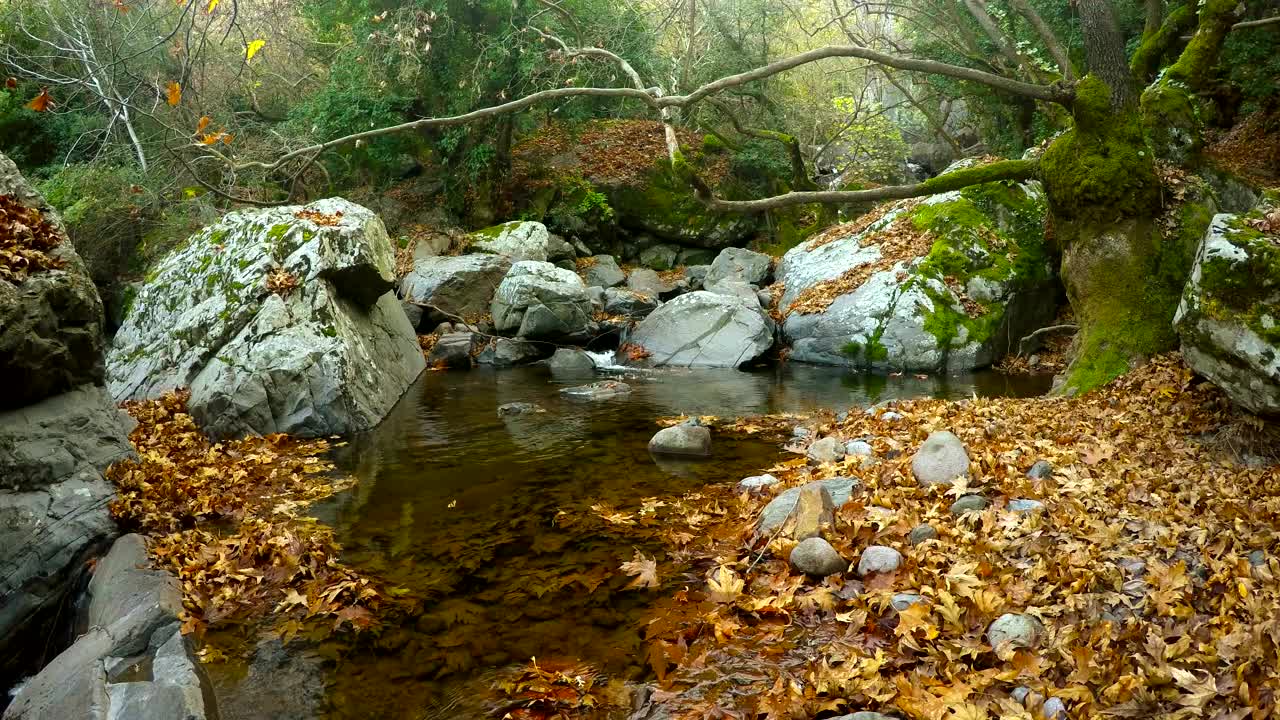 Free Video Stock Small Lake In A Forest With Rocks And Moss Live Wallpaper - Free Download