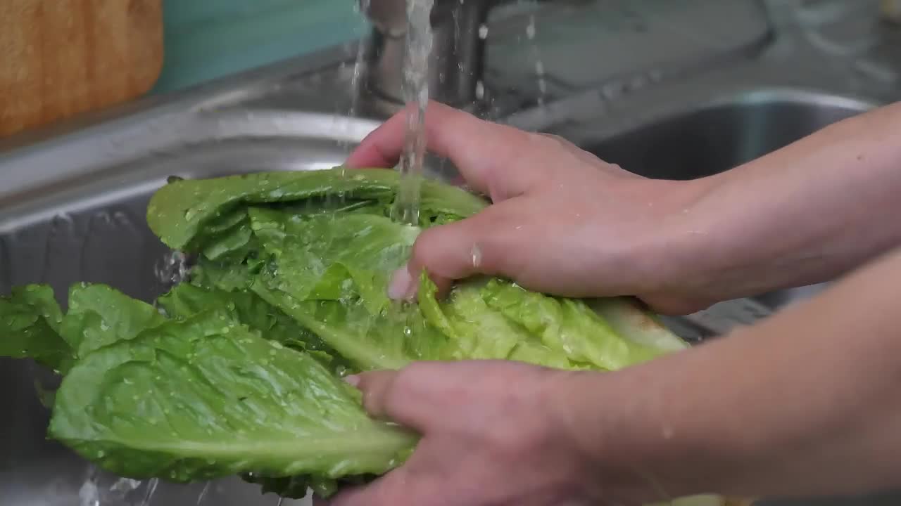 Free Stock Video Washing A Lettuce In The Kitchen Live Wallpaper - Free Download