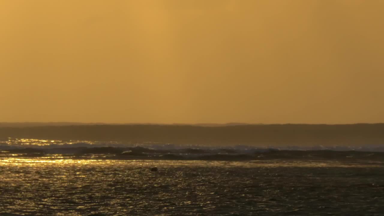Stock Video Golden Sunset And Tall Waves Live Wallpaper For PC - Free Download