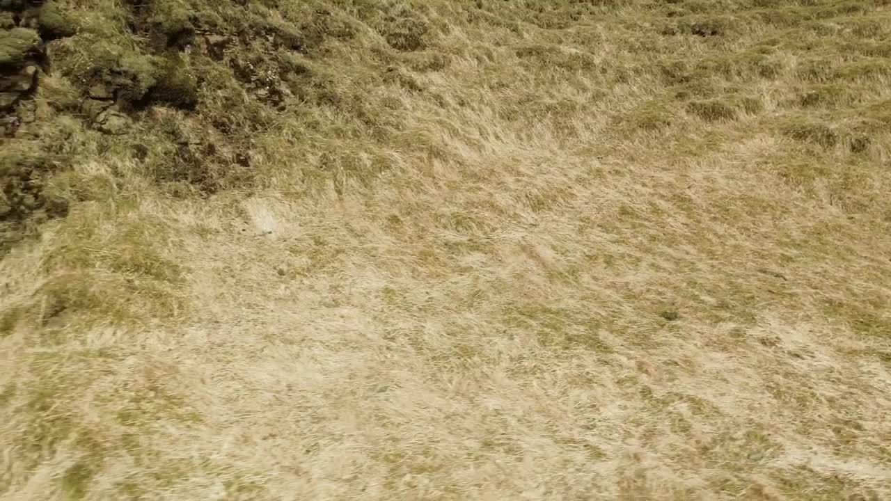 Stock Video Drone Flying Over A Stream Live Wallpaper For PC - Free Download