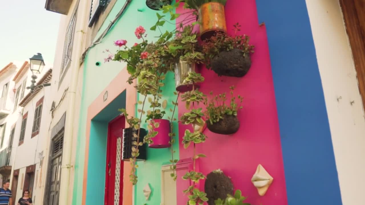 Stock Video Flowerpots Hanging On Colorful Walls Live Wallpaper For PC - Free Download