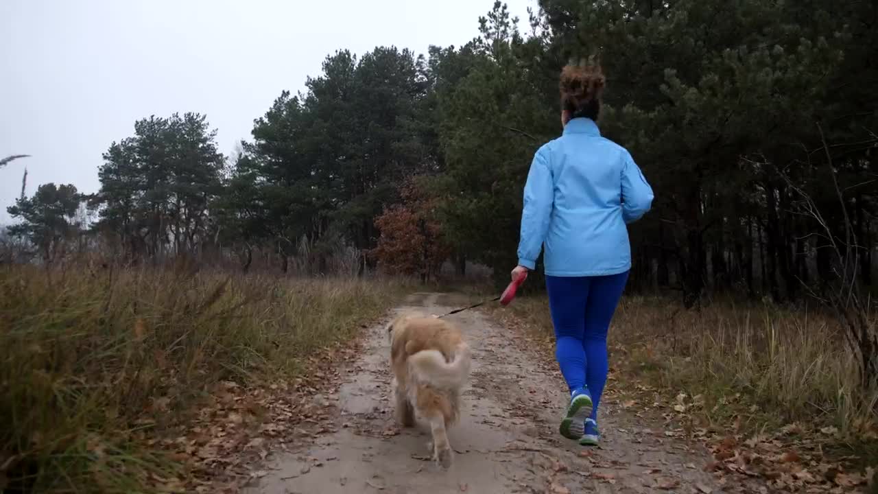 Stock Footage Woman And Her Dog Running Down A Path Live Wallpaper - Free Download