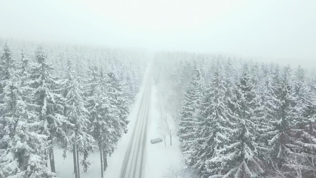 Free Stock Video Road Through A Foggy Winter Forest Live Wallpaper - Free Download