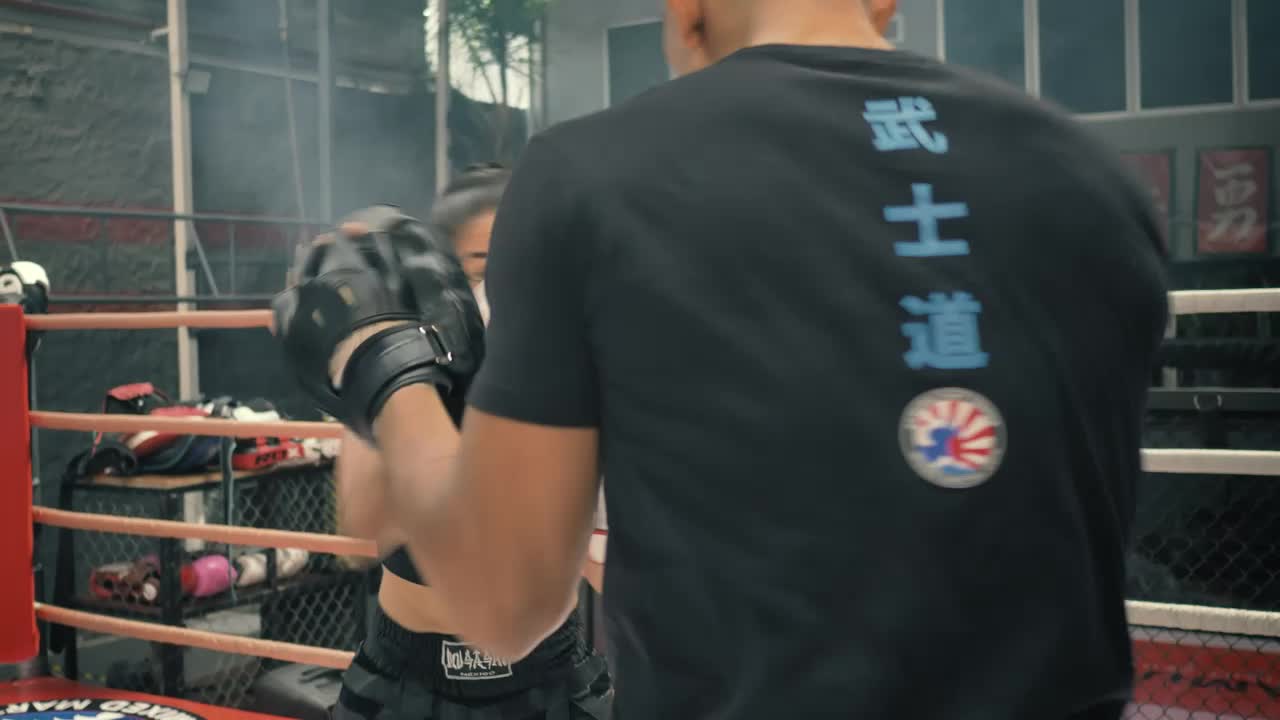 Stock Video Female Boxer Training With Her Coach Live Wallpaper For PC - Free Download