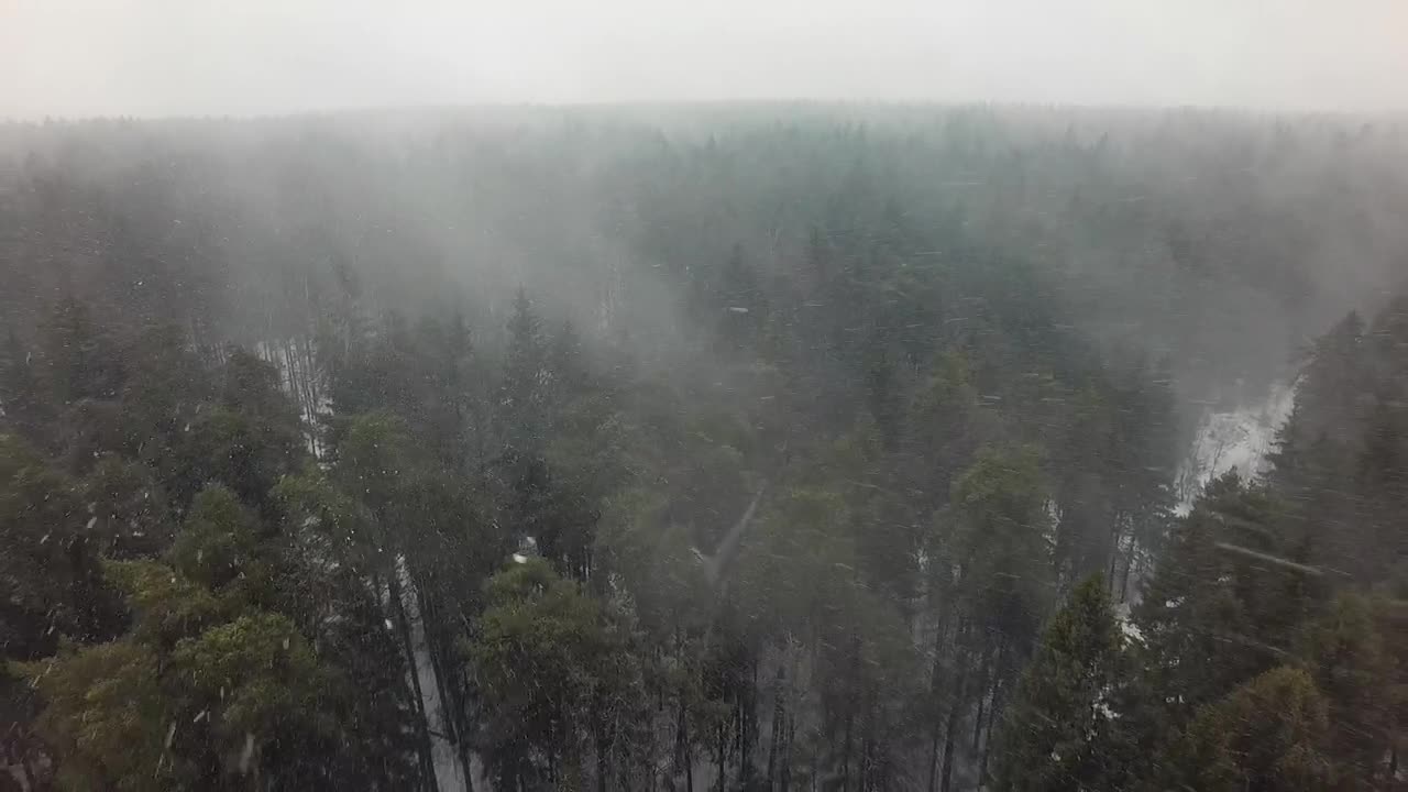 Stock Video Drone Flying Through Snow Live Wallpaper For PC - Free Download