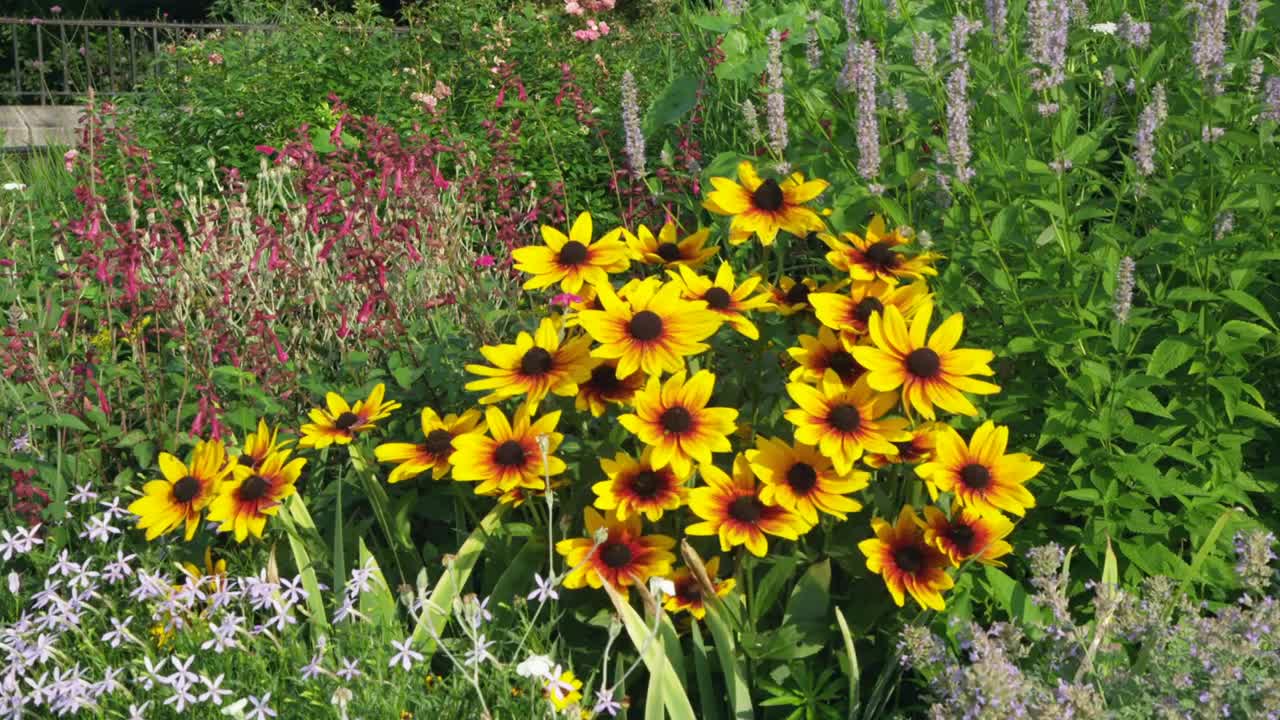 Stock Video Community Garden Of Wildflowers Live Wallpaper For PC - Free Download
