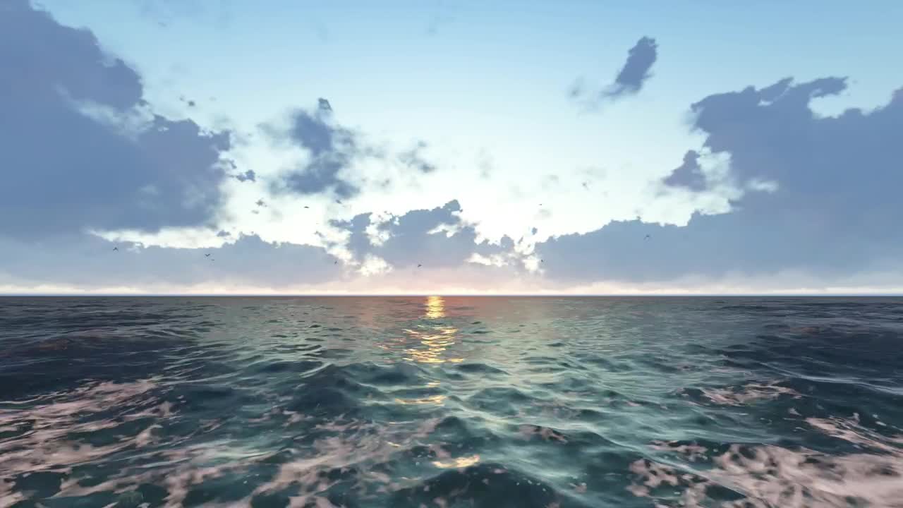 Stock Video Pacific Sea In D With Birds In A Sunset Live Wallpaper - Free Download