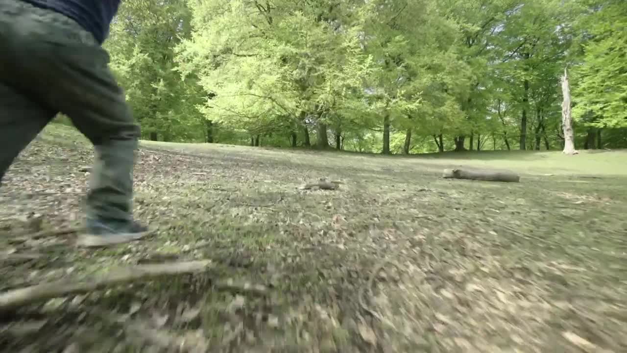 Free Stock Video Running Towards The Shade Live Wallpaper - Free Download