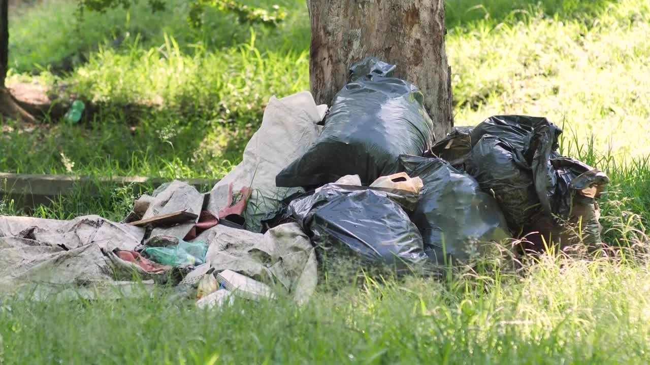 Stock Video Garbage Piled Up At The Base Of A Tree In Live Wallpaper For PC - Free Download