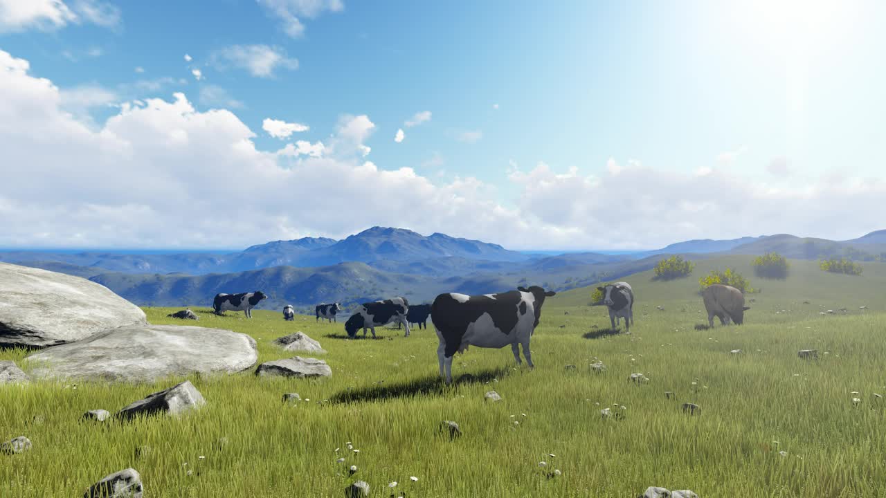 Stock Video Feeding Cows On A Sunny Meadow In D Live Wallpaper For PC - Free Download