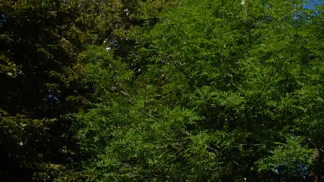 Stock Video Large Television Tower Smal Animated Wallpaper - Free Download