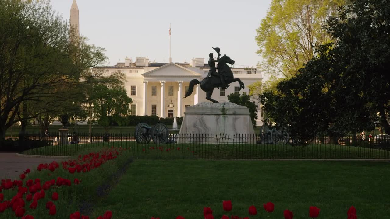 Free Video Stock Statue And Cannons Outside The White House Live Wallpaper - Free Download