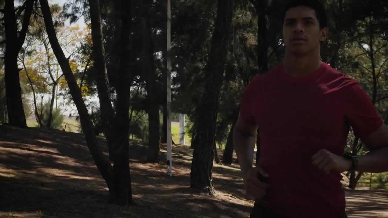 Stock Video Man Jogging On Trail In The Par Animated Wallpaper - Free Download