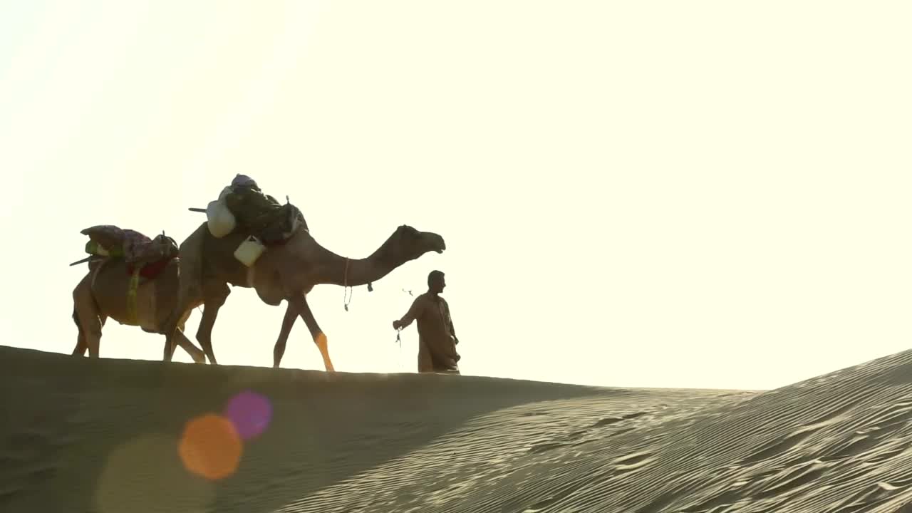Video Stock Caravan Of Camels Crossing The Desert Live Wallpaper For PC - Free Download