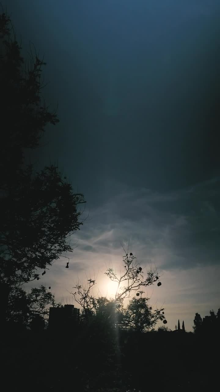 Free Video Stock sunset perspective in the city Live Wallpaper - Free Download