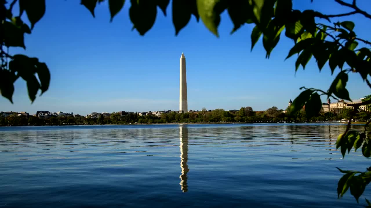 Stock Footage Washington Monument From The Trees Live Wallpaper - Free Download
