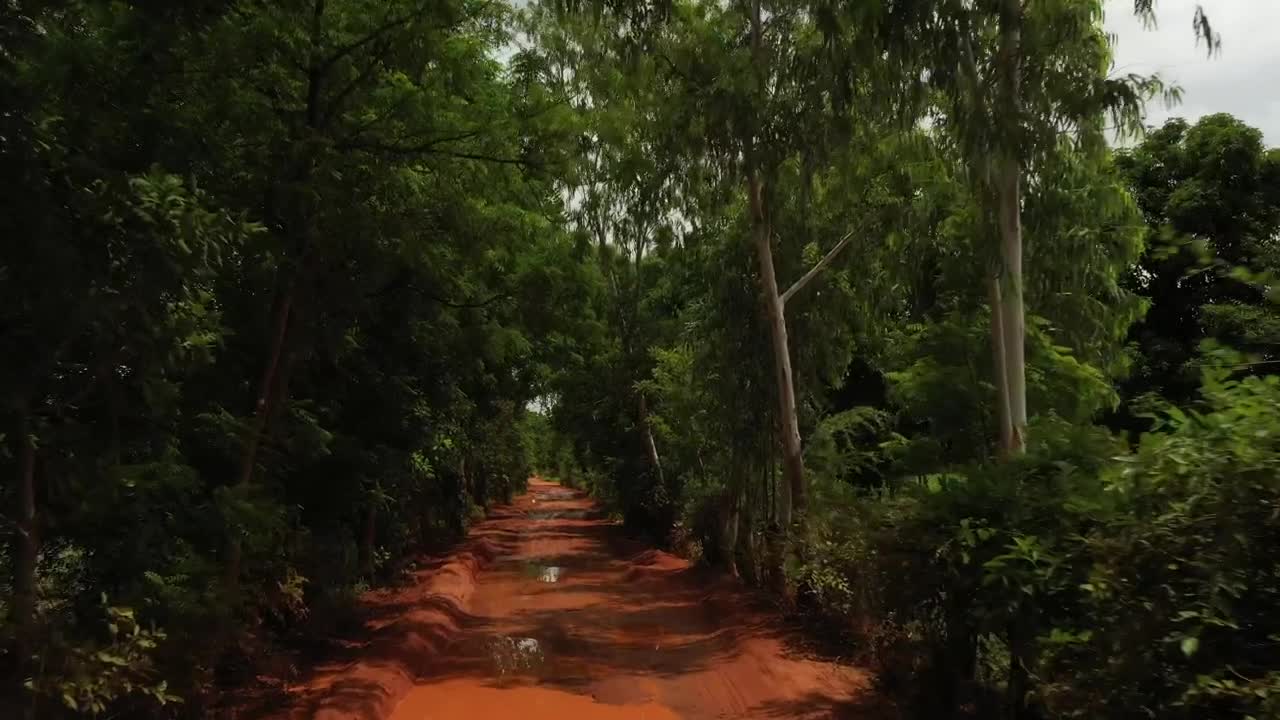 Video Stock Rainfall In Africa Live Wallpaper Free - Free Download
