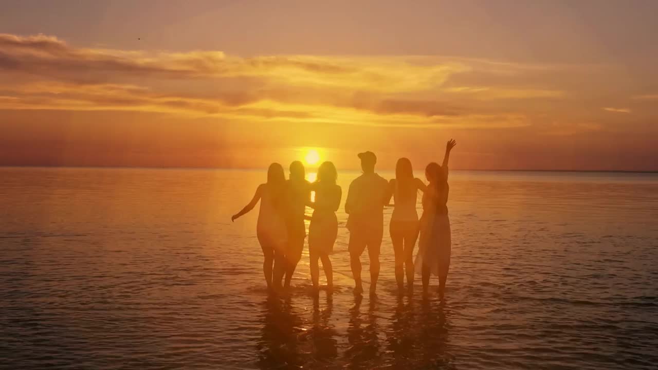 Video Stock Cheerful Friends Seeing The Sunset On The Beach Live Wallpaper For PC - Free Download