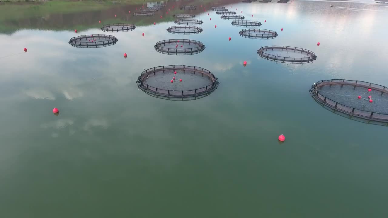 Stock Video Fish Farm In The Lake Live Wallpaper For PC - Free Download
