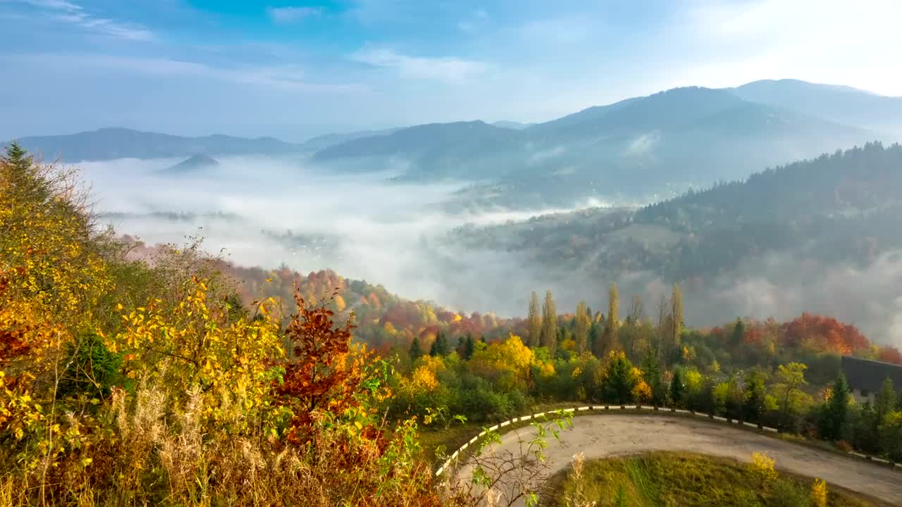 Free Stock Video Road Curve On An Autumn Forest Live Wallpaper - Free Download