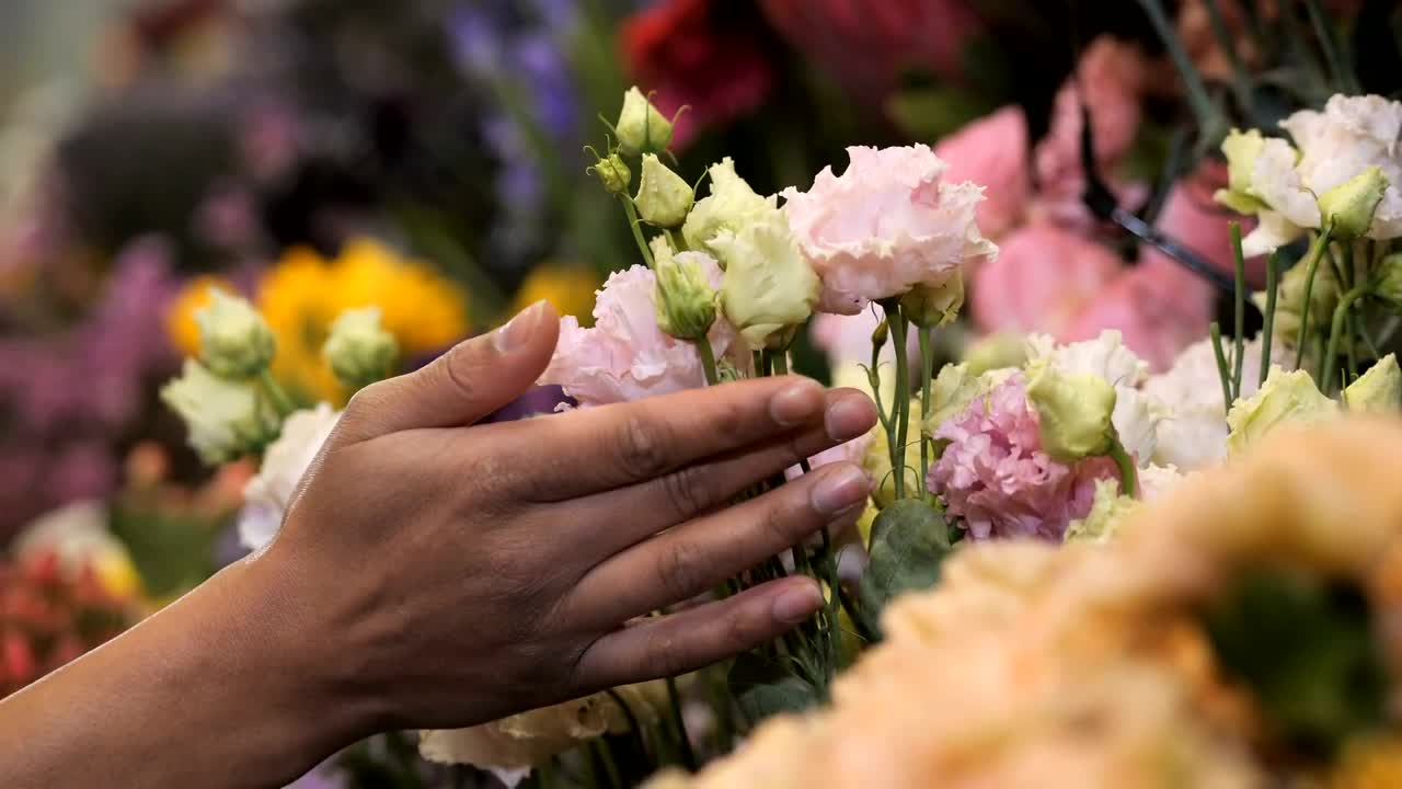 Stock Video Florist Checking Flowers In Her Store Live Wallpaper For PC - Free Download