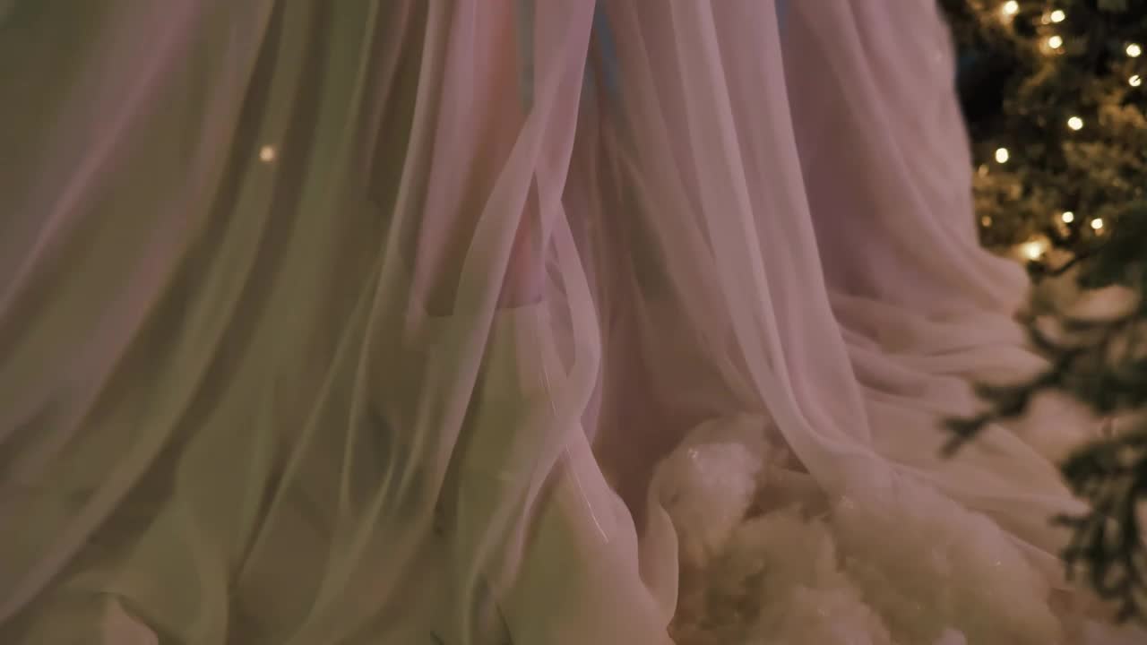 Free Stock Video Veil Of A Girls Dress Among Christmas Trees Live Wallpaper - Free Download