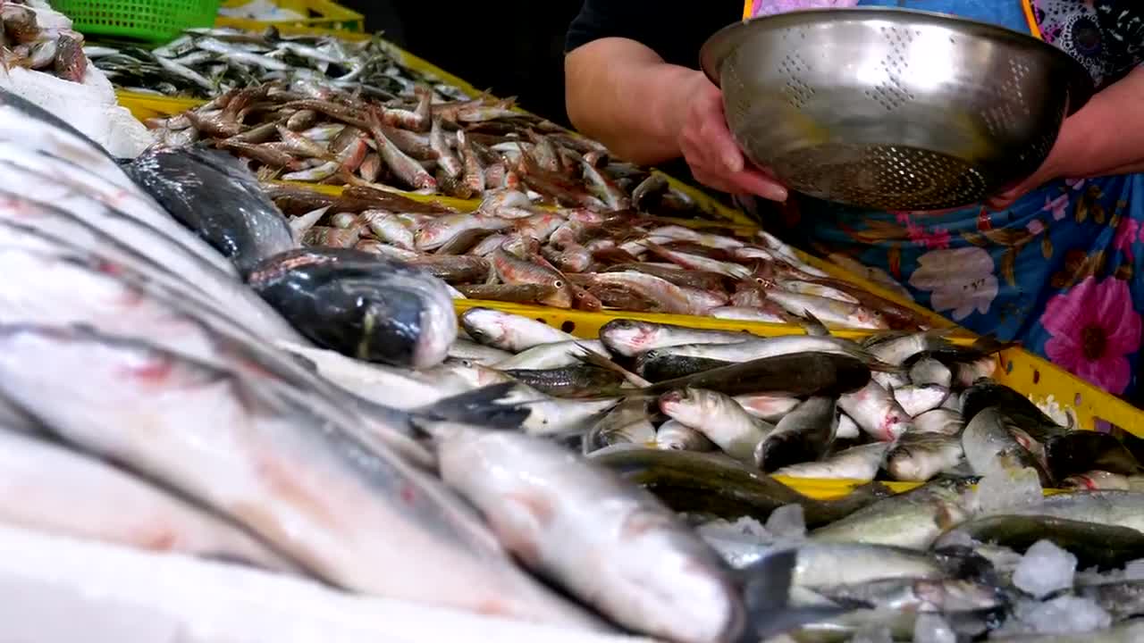 Free Stock Video Saleswoman Offering Fresh Fish Live Wallpaper - Free Download