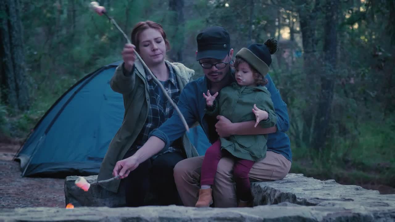 Stock Video Parents And Their Daughter Roasting Marshmallows In A Forest Live Wallpaper - Free Download