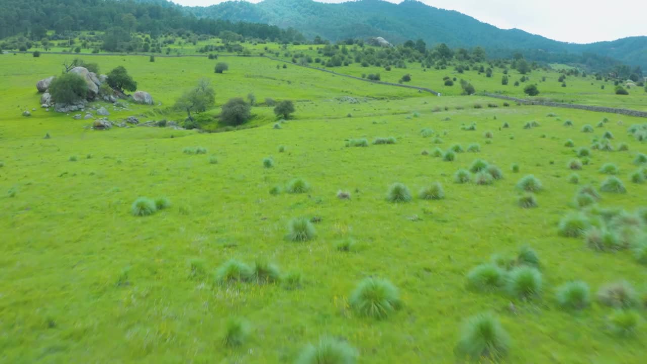 Stock Video Flying Quickly Over A Grassy Meadow Live Wallpaper For PC - Free Download