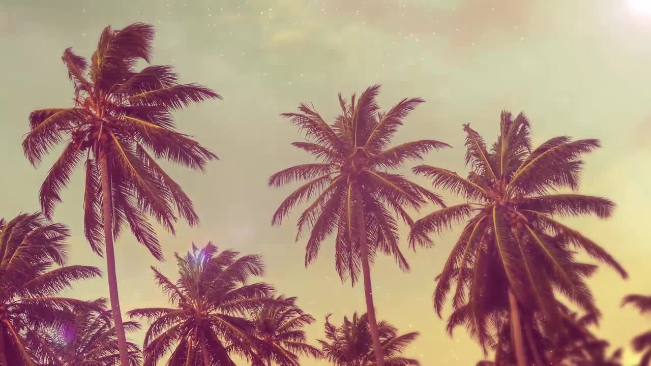 Summer Palms - Free Download