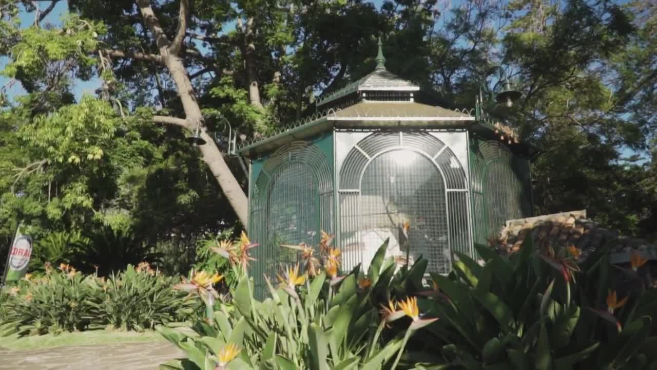 Stock Video Kiosk In A Garden Animated Wallpaper - Free Download
