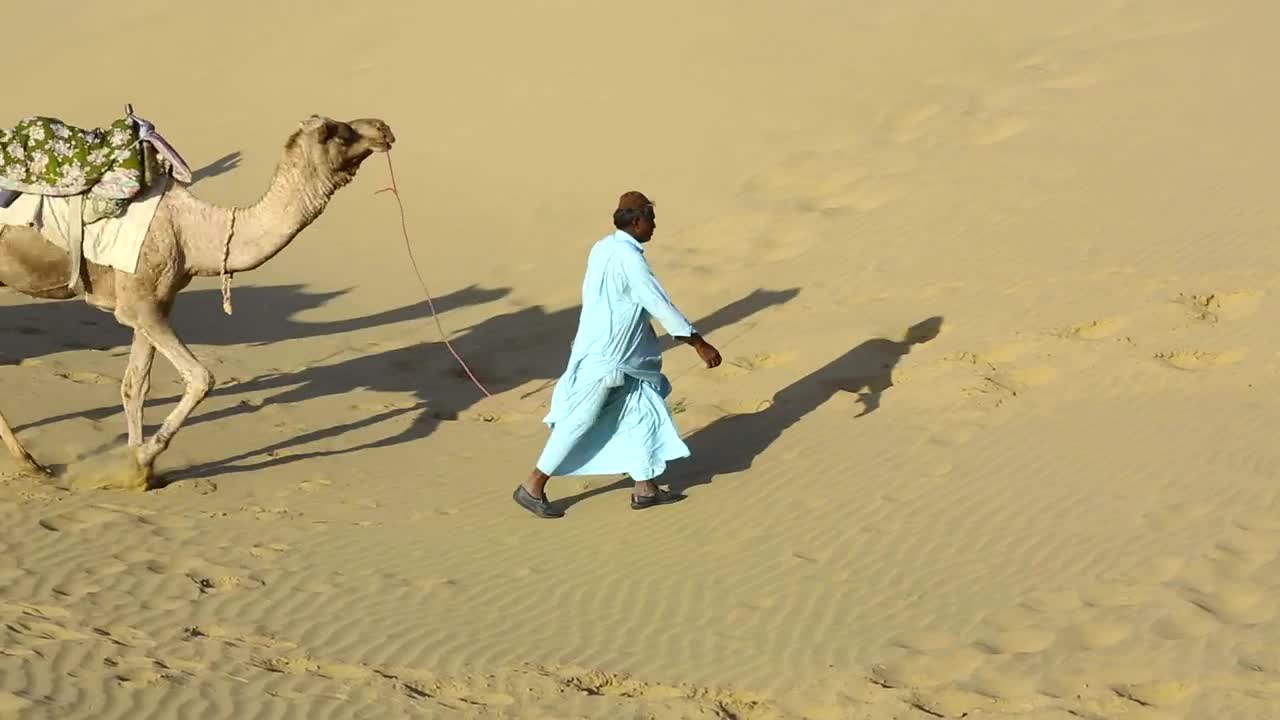 Video Stock Caravan Of Camels In The Desert Live Wallpaper For PC - Free Download