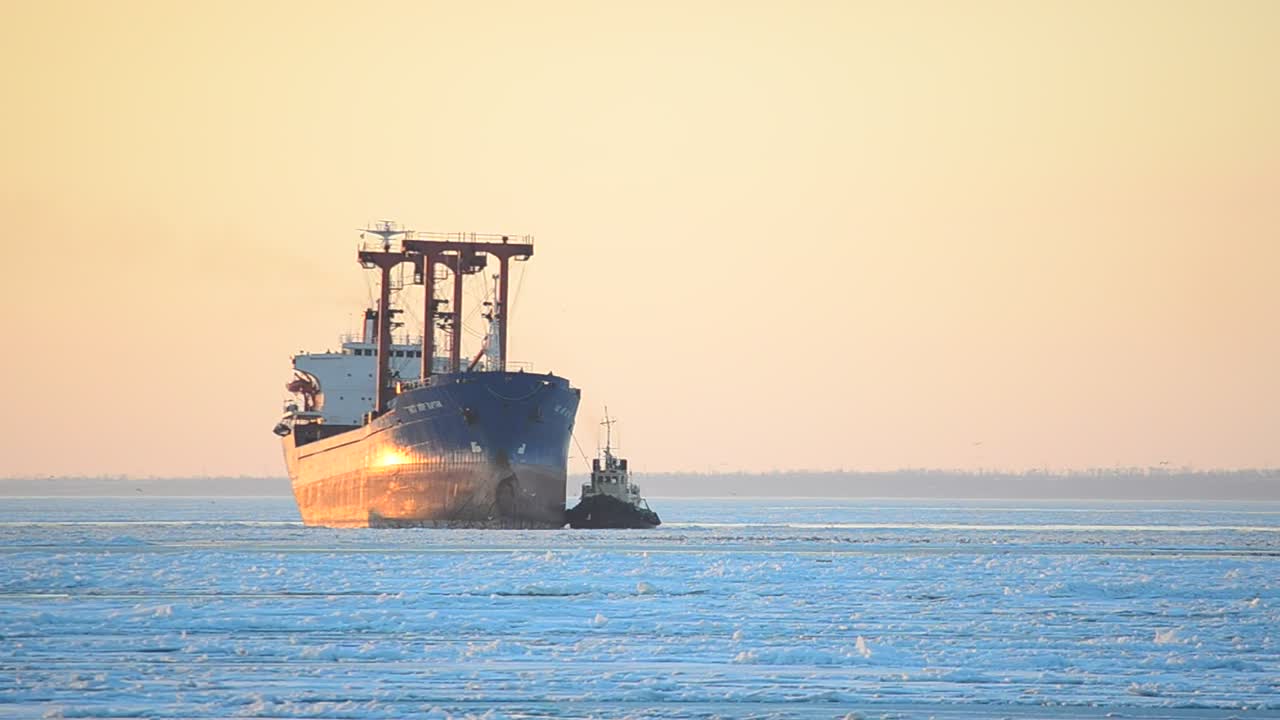 Stock Video Ocean Liner Cargo Ship Live Wallpaper - Free Download