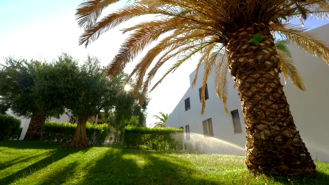 Stock Footage Watering The Grass At Home Live Wallpaper - Free Download