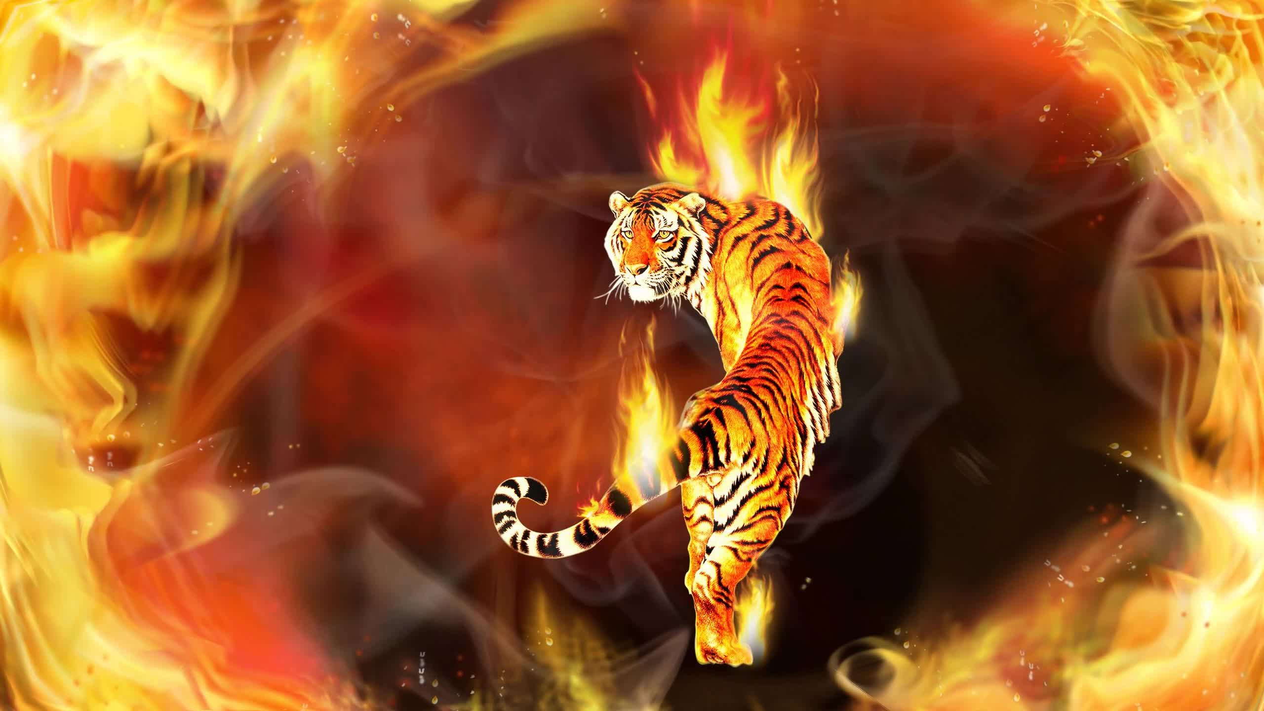 Tiger  In  Flames  Digital  Art  2K  Live  Wallpaper - Free Download